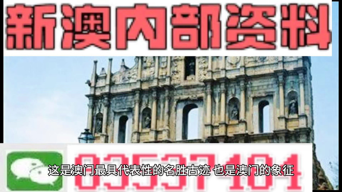 新澳門正版資料，探索與解析，澳門正版資料深度解析與探索