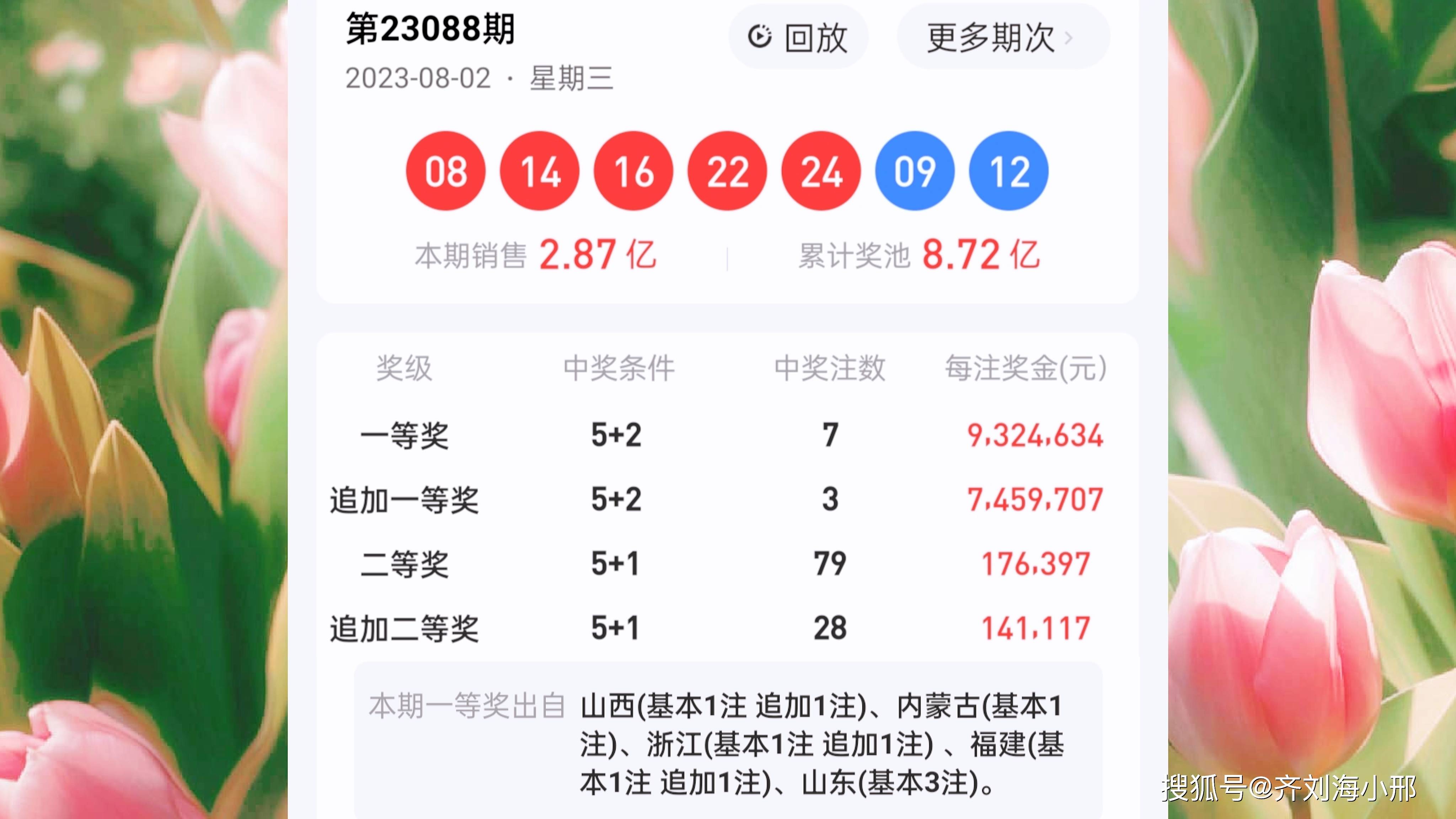 最新開(kāi)獎(jiǎng)結(jié)果揭曉，王中王與一肖中的幸運(yùn)時(shí)刻，王中王與一肖中幸運(yùn)時(shí)刻揭曉，最新開(kāi)獎(jiǎng)結(jié)果出爐