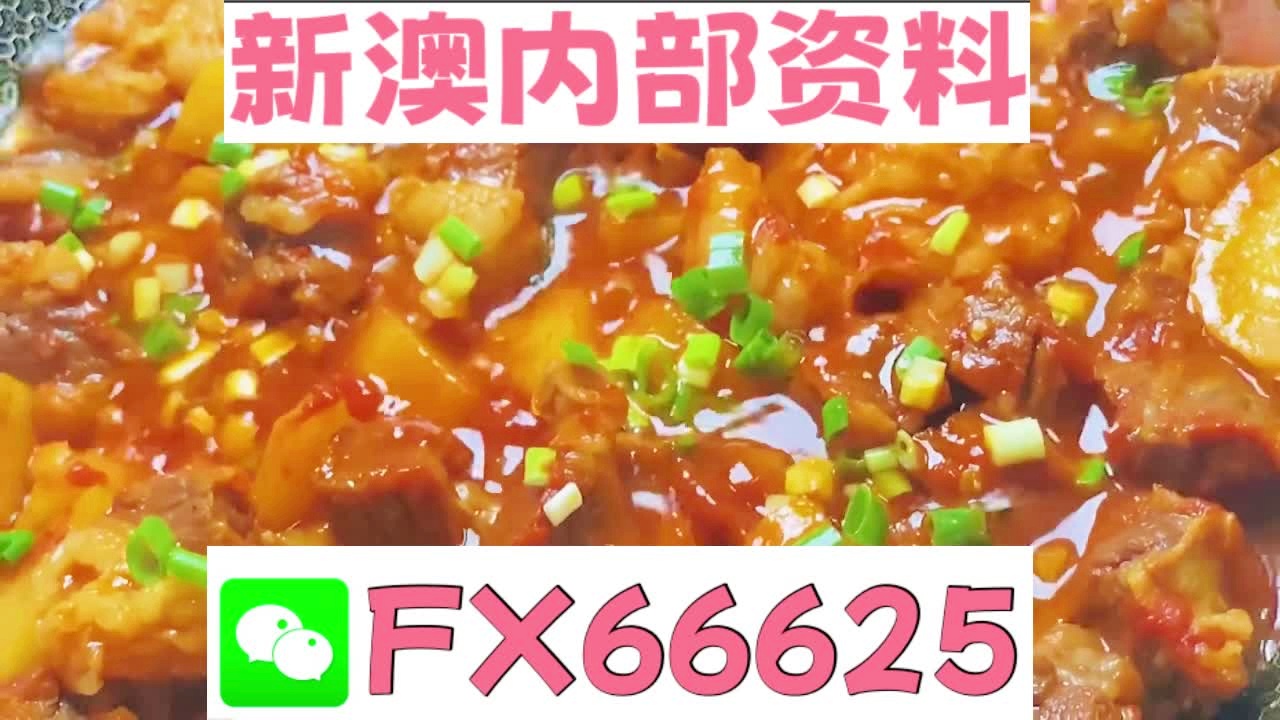 新奧天天免費資料大全——探索與優(yōu)化的SEO之旅，新奧天天免費資料大全，SEO探索與優(yōu)化之旅