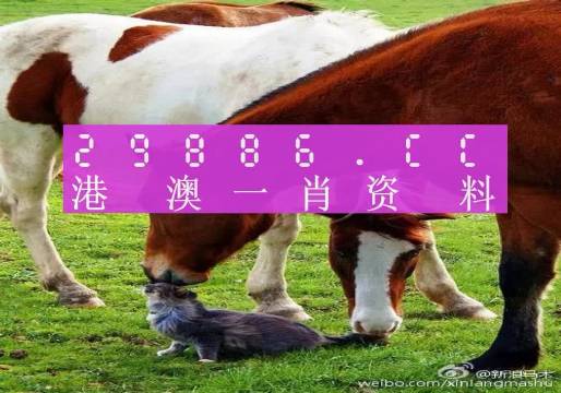 新奧門一肖一碼，揭秘精準(zhǔn)預(yù)測(cè)的秘密，揭秘新澳門一肖一碼精準(zhǔn)預(yù)測(cè)的秘密