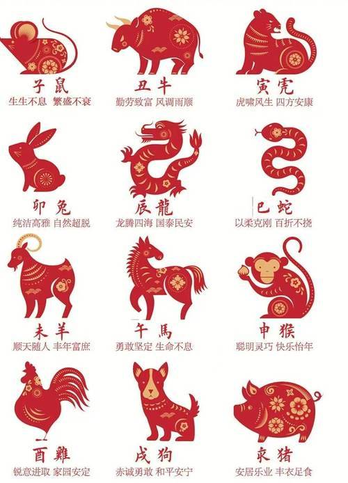新澳特碼，羊?；⒏鲾?shù)10的獨(dú)特魅力與探索，新澳特碼，羊?；⒏鲾?shù)10的獨(dú)特魅力與奧秘探索