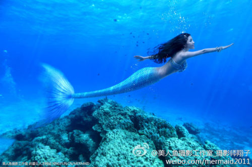 澳門美人魚最快開獎結果圖——揭秘熱門彩票游戲背后的秘密，澳門美人魚彩票開獎揭秘，最新結果圖與游戲背后秘密探索