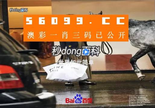 新澳一碼三中三資料，探索與解析，新澳一碼三中三資料解析與探索