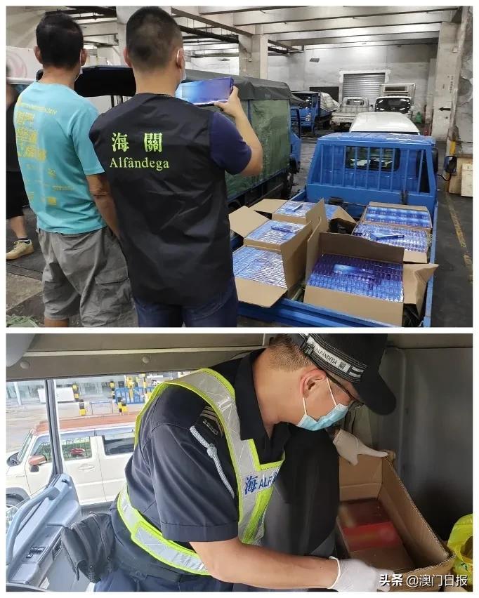澳門今晚必開一肖080，揭秘生肖運勢與預測之謎，澳門今晚必開一肖揭秘，生肖運勢預測之謎開啟！