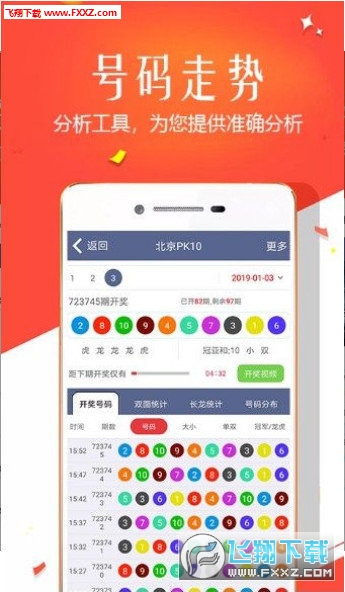 王中王四肖選一，揭秘選擇與優(yōu)化策略，王中王四肖選一，選擇與優(yōu)化策略的揭秘