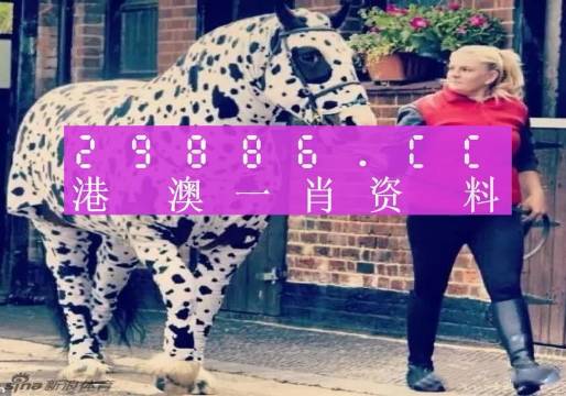 SEO優(yōu)化策略 第11頁(yè)
