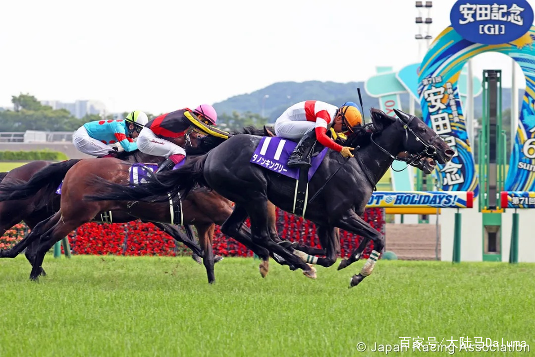 香港王中王與一馬中特肖的獨特魅力，深度解析與探索，香港王中王與一馬中特肖的獨特魅力，深度探索與解析