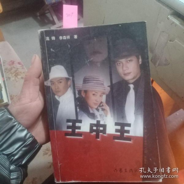 王中王資料一肖中天，深度解析與探索，王中王資料一肖中天，深度剖析與探索