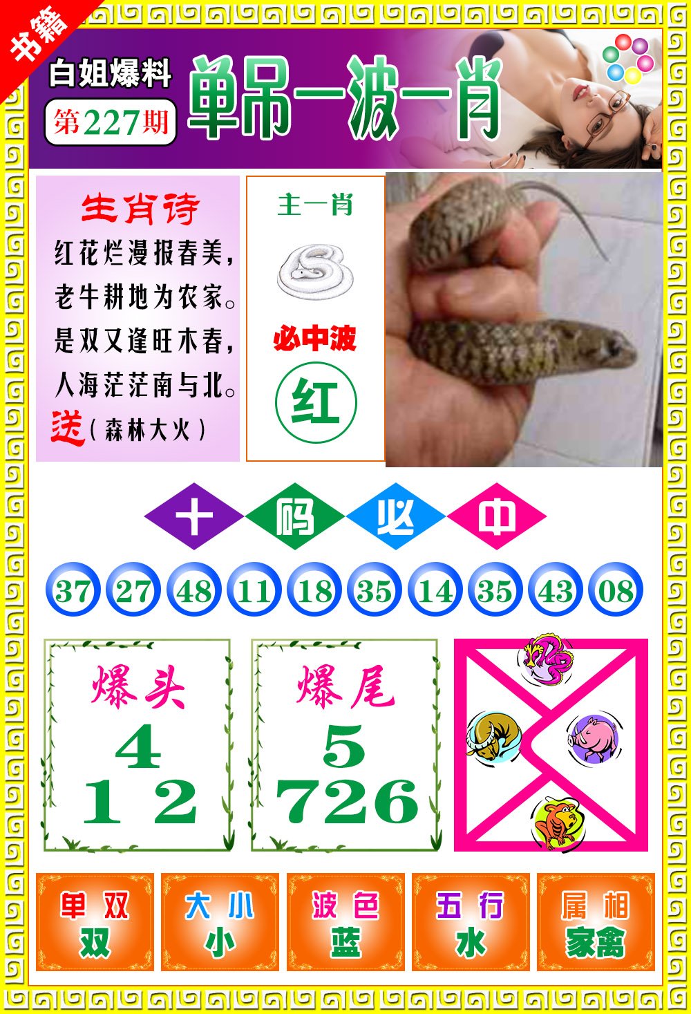 王中王免費(fèi)開獎一肖結(jié)果，揭秘彩票背后的秘密，揭秘王中王彩票開獎內(nèi)幕，一肖結(jié)果背后的秘密揭曉