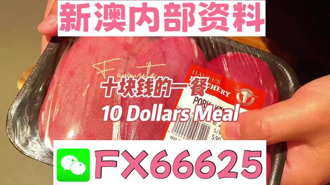 揭秘2025新澳精準(zhǔn)資料免費大全——一站式獲取最新資源，揭秘2025新澳精準(zhǔn)資料免費大全，最新資源一站式獲取