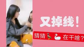 王中王欲錢詩猜一肖，王中王欲錢詩暗示的生肖之謎