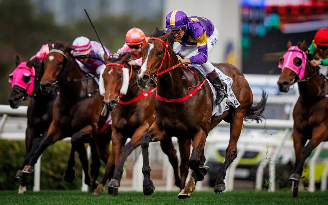 香港賽馬，探索賽馬運(yùn)動(dòng)的激情與榮耀之地——7777788888的獨(dú)特魅力，香港賽馬，激情與榮耀的獨(dú)特魅力探索——777778賽馬運(yùn)動(dòng)之地