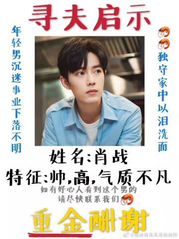 一肖一碼一一肖一子善，探尋命運密碼與智慧之光的完美結(jié)合，命運密碼與智慧之光，一肖一碼一一肖一子善的探尋
