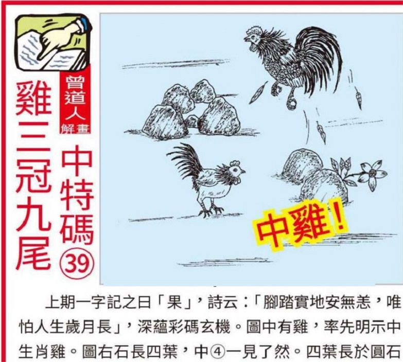 澳門2025全年資料大全正版資料權(quán)威指南，澳門2025全年正版權(quán)威指南，全面資料大全與權(quán)威解讀