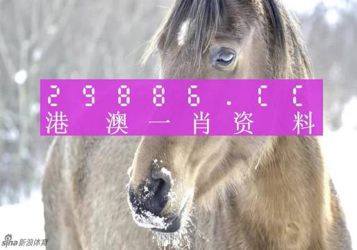 澳門一肖一碼背后的故事，精準(zhǔn)背后的秘密與傳奇，澳門一肖一碼背后的秘密與傳奇故事揭秘