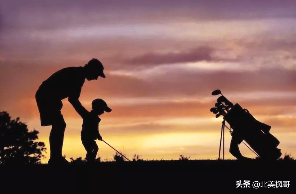 森林高手王中王與神秘生肖——深度解讀背后的故事與秘密，森林高手王中王與神秘生肖，故事背后的深度解讀與秘密探尋