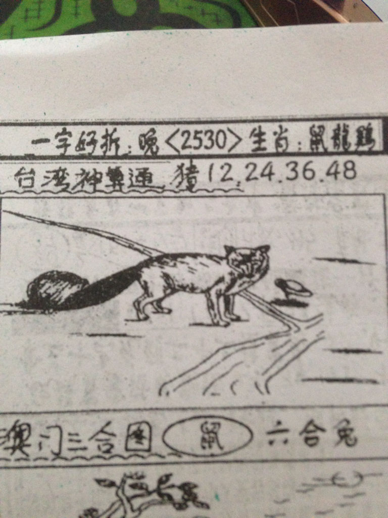 揭秘生肖奧秘，看圖猜一生肖劉伯溫的傳奇故事，揭秘生肖奧秘，劉伯溫傳奇故事中的生肖之謎探索