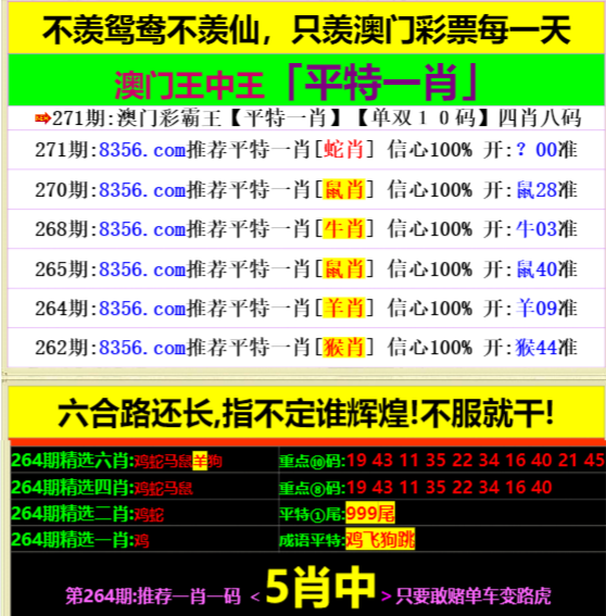 王中王資料一肖中特，深度解析與SEO優(yōu)化策略，王中王資料一肖中特深度解析與SEO優(yōu)化策略指南