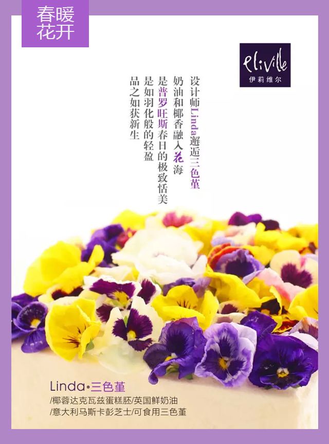 王中王339期指一生肖——探尋背后的秘密與玄機(jī)，探尋王中王339期生肖背后的秘密與玄機(jī)