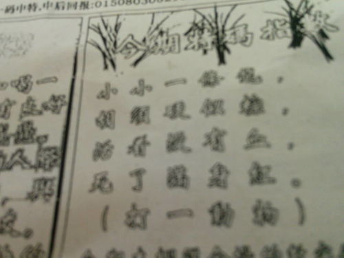 揭秘劉伯溫的一肖一特，探尋神秘傳奇背后的真相，劉伯溫傳奇揭秘，揭秘生肖之謎與獨(dú)特特質(zhì)背后的真相