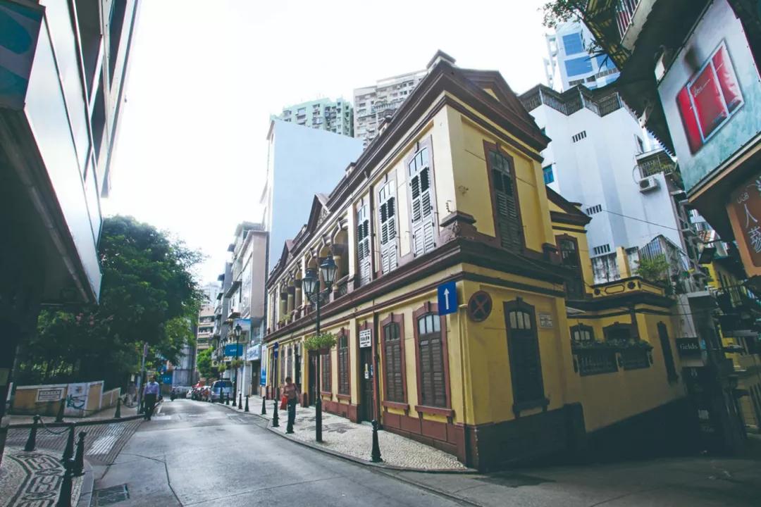 澳門今晚必開一肖，揭秘生肖運(yùn)勢(shì)與預(yù)測(cè)邏輯，澳門今晚生肖預(yù)測(cè)揭秘，生肖運(yùn)勢(shì)與預(yù)測(cè)邏輯分析