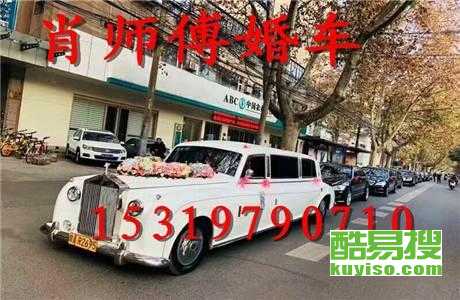 王中王車奪平特一肖免費——深度解析與探索，王中王車奪平特一肖，深度解析與免費探索