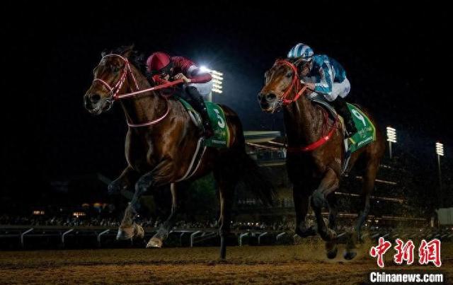 香港王中王一肖中特馬，探索背后的奧秘，香港王中王一肖中特馬背后的奧秘探索