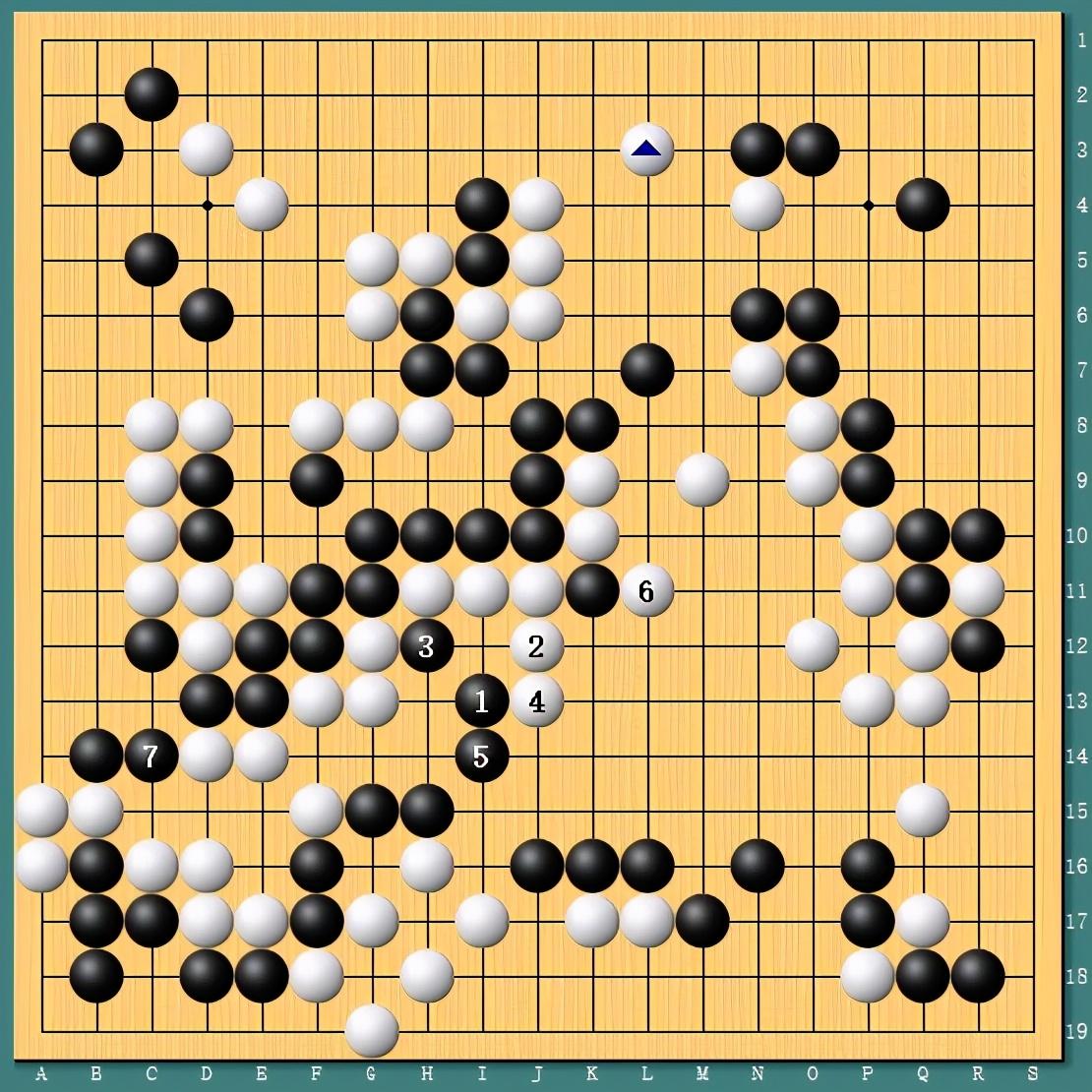 王中王四肖一碼資料論壇，探索與解析，王中王四肖一碼資料論壇，深度探索與解析