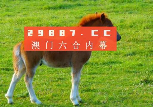 新奧門一肖一馬平特大全，揭秘?zé)衢T關(guān)鍵詞背后的故事，揭秘新澳門熱門關(guān)鍵詞背后的故事，一肖一馬平特大全