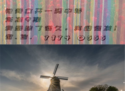 王中王四肖三期必出一期，揭秘彩票背后的秘密策略與技巧，揭秘彩票策略與技巧，王中王四肖三期必出一期之道
