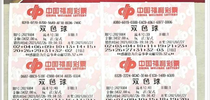 王中王084期指一生肖，解讀背后的秘密與生肖運(yùn)勢(shì)分析，王中王084期生肖揭秘，秘密解讀與運(yùn)勢(shì)展望