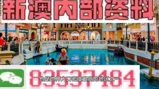 澳門(mén)王中王六碼新澳門(mén)，探索與解析，澳門(mén)王中王六碼新澳門(mén)，深度探索與解析