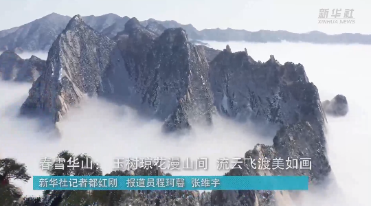 澳門最精準(zhǔn)龍門，探索真正的精準(zhǔn)之道，澳門最精準(zhǔn)龍門，揭秘真正的精準(zhǔn)之道