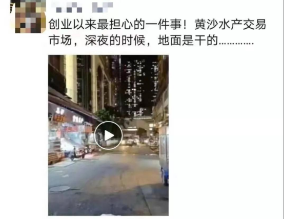 好料盡在王中王——揭秘生肖運勢的獨特魅力，揭秘生肖運勢獨特魅力，王中王好料大解密