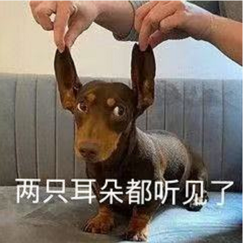王中王四不象必中一肖，揭秘背后的秘密與策略，揭秘王中王四不象必中一肖背后的秘密與策略之道
