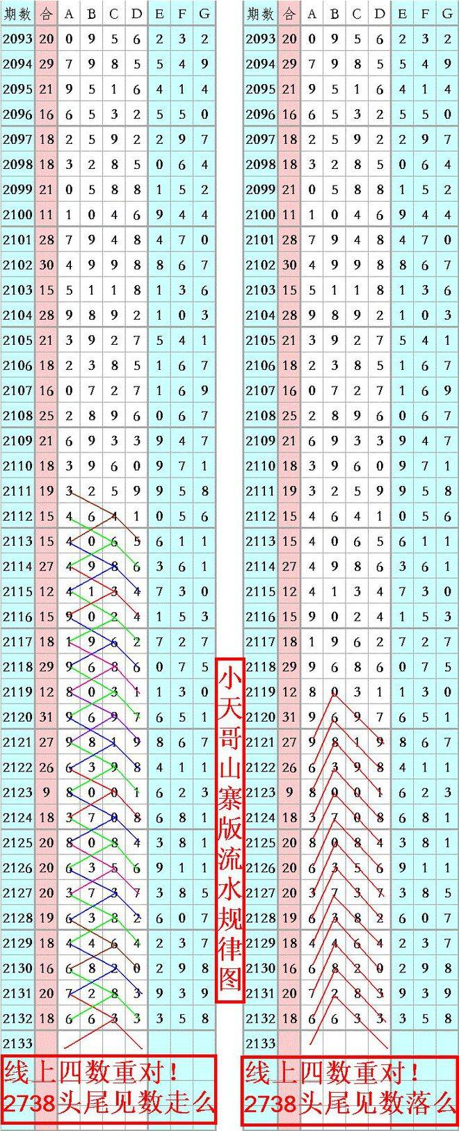 王中王資料一肖正特馬，深度解析與探索，王中王資料一肖正特馬深度解析與探索揭秘