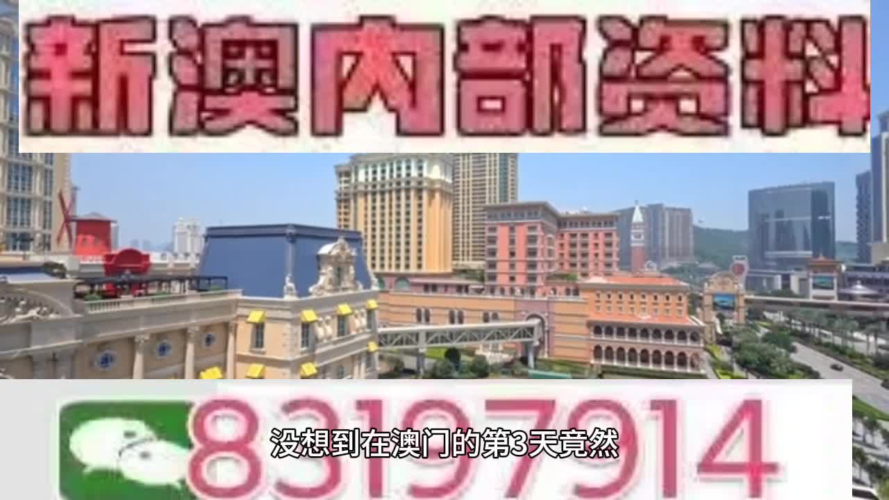 新澳門今晚必開一肖一特，探索生肖與特碼的魅力，澳門生肖特碼探索，今晚必開一肖一特之魅力