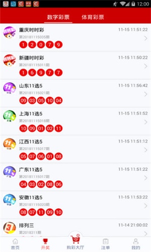 一碼一肖，揭秘背后的秘密與探索其獨特魅力，揭秘一碼一肖背后的秘密與獨特魅力探索