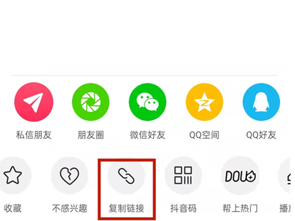 白小姐王中王中特一肖，神秘傳奇與SEO探索，神秘傳奇與SEO探索，白小姐王中王中特一肖的奧秘