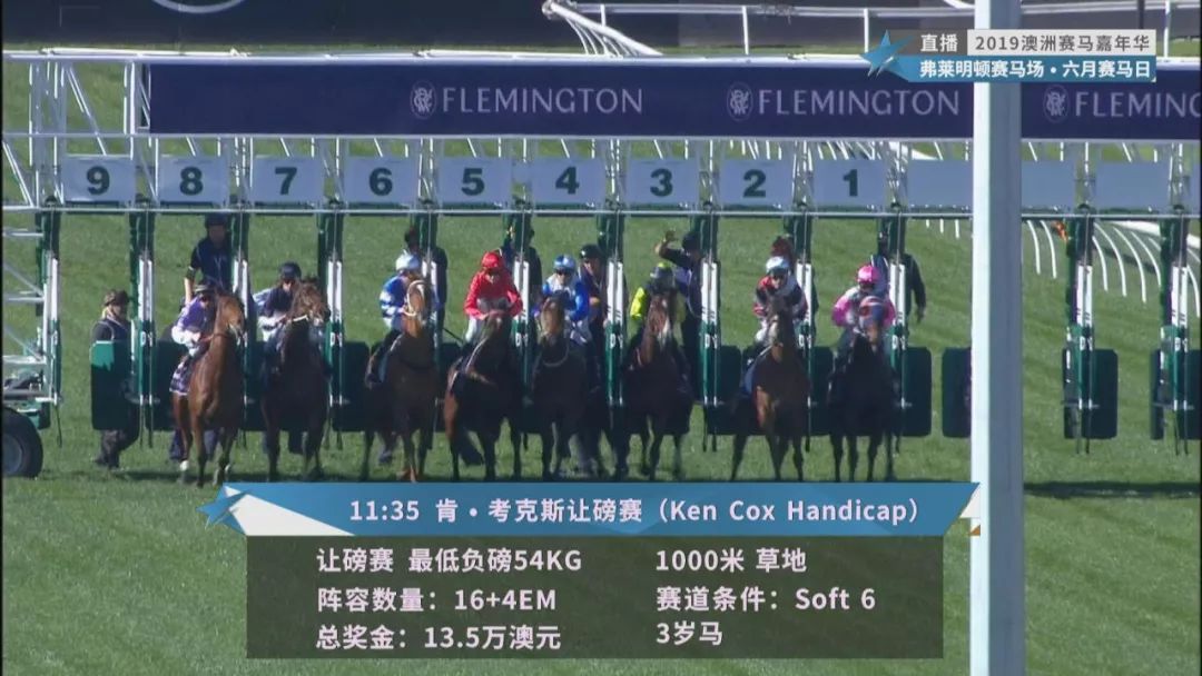 賽馬澳門六月開獎結(jié)果，探索與期待，澳門六月賽馬開獎揭曉，探索結(jié)果引期待