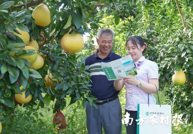 資料大全正版資料2025，一站式獲取所有你需要的信息，資料大全正版資料2025，一站式獲取所有信息總匯