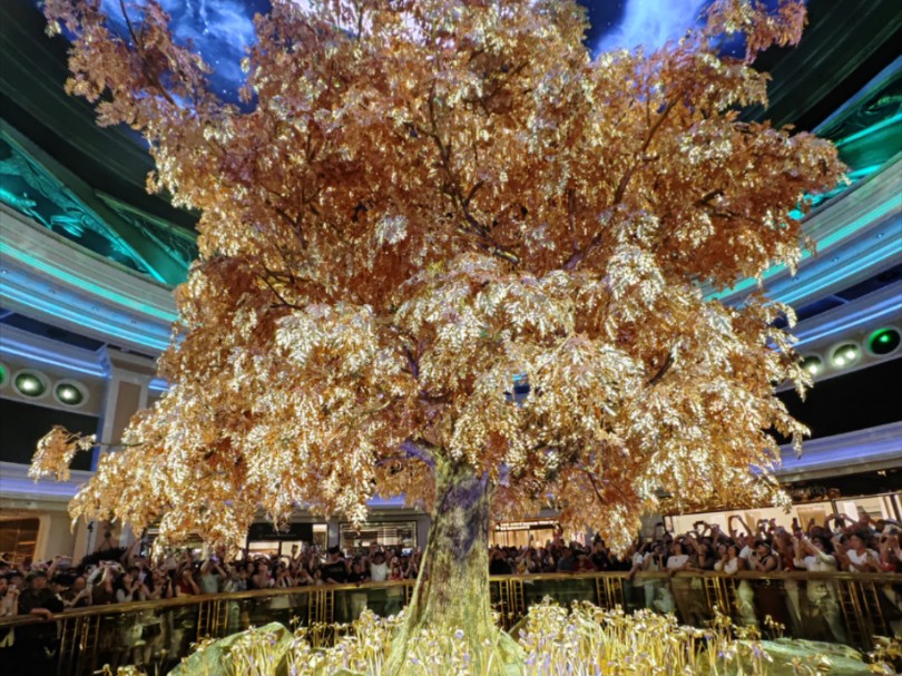 澳門搖錢樹開獎(jiǎng)最快——探索彩票世界的神秘魅力，澳門搖錢樹彩票開獎(jiǎng)揭秘，探索神秘彩票世界的魅力