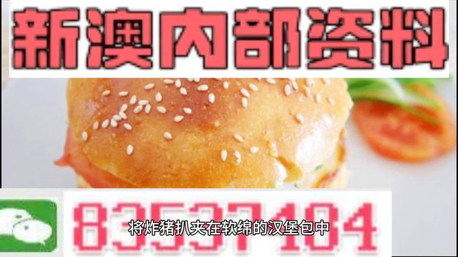 2025新澳正版資料精準(zhǔn)解析，2025新澳正版資料精準(zhǔn)解析手冊(cè)