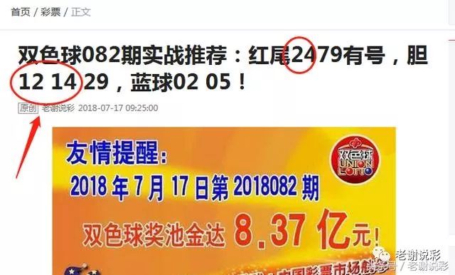 王中王082期指一生肖——探尋生肖魅力，洞悉運勢奧秘，探尋生肖魅力，揭秘運勢奧秘——王中王生肖運勢解析 082期