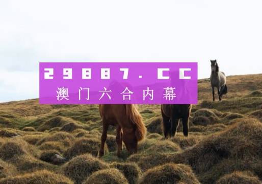 澳門六開獎結(jié)果2023開獎記錄查詢網(wǎng)站——全面解析與最新資訊，澳門六開獎結(jié)果最新解析與資訊，全面查詢2023年開獎記錄