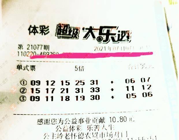 王中王077期指一生肖——揭秘背后的奧秘與生肖運勢分析，揭秘生肖奧秘與運勢分析，王中王生肖預測077期揭曉！