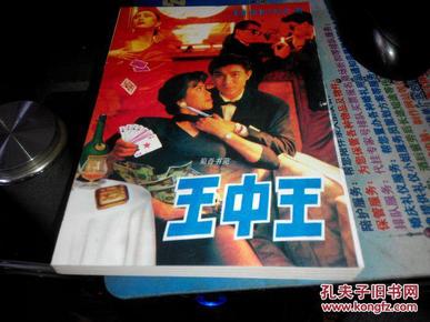 王中王資料一肖中特小說，深度解析與探索，王中王資料一肖中特小說的深度解析與探索之旅