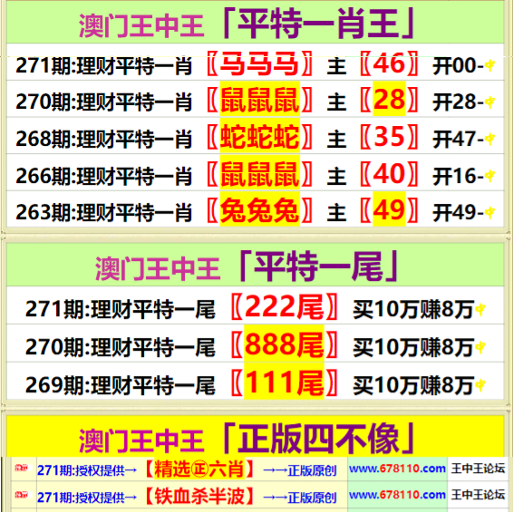 王中王四肖中特一期期誰，深度解析與探索，王中王四肖中特一期深度解析與探索