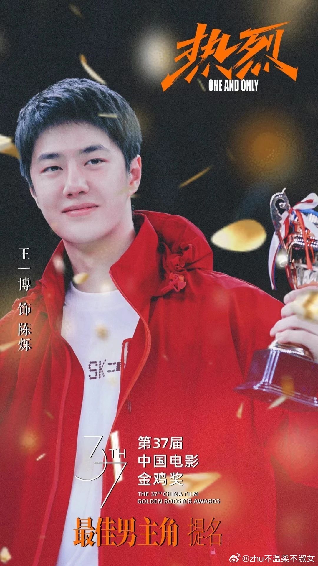 王中王一肖一特一中一中，探尋背后的故事與奧秘，探尋王中王一肖背后的故事與奧秘