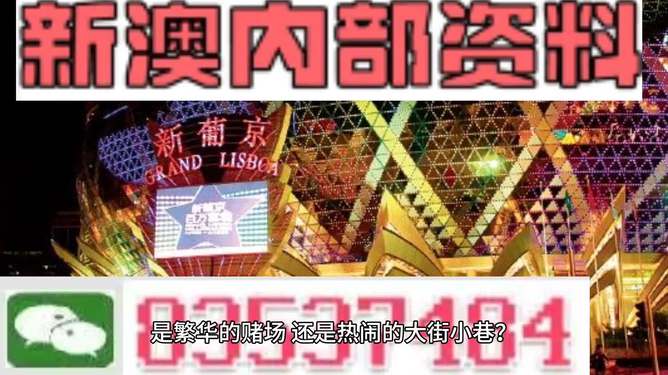 新澳門精準(zhǔn)資料大全管家婆料，探索與解析，澳門精準(zhǔn)資料大全解析，探索管家婆料內(nèi)幕